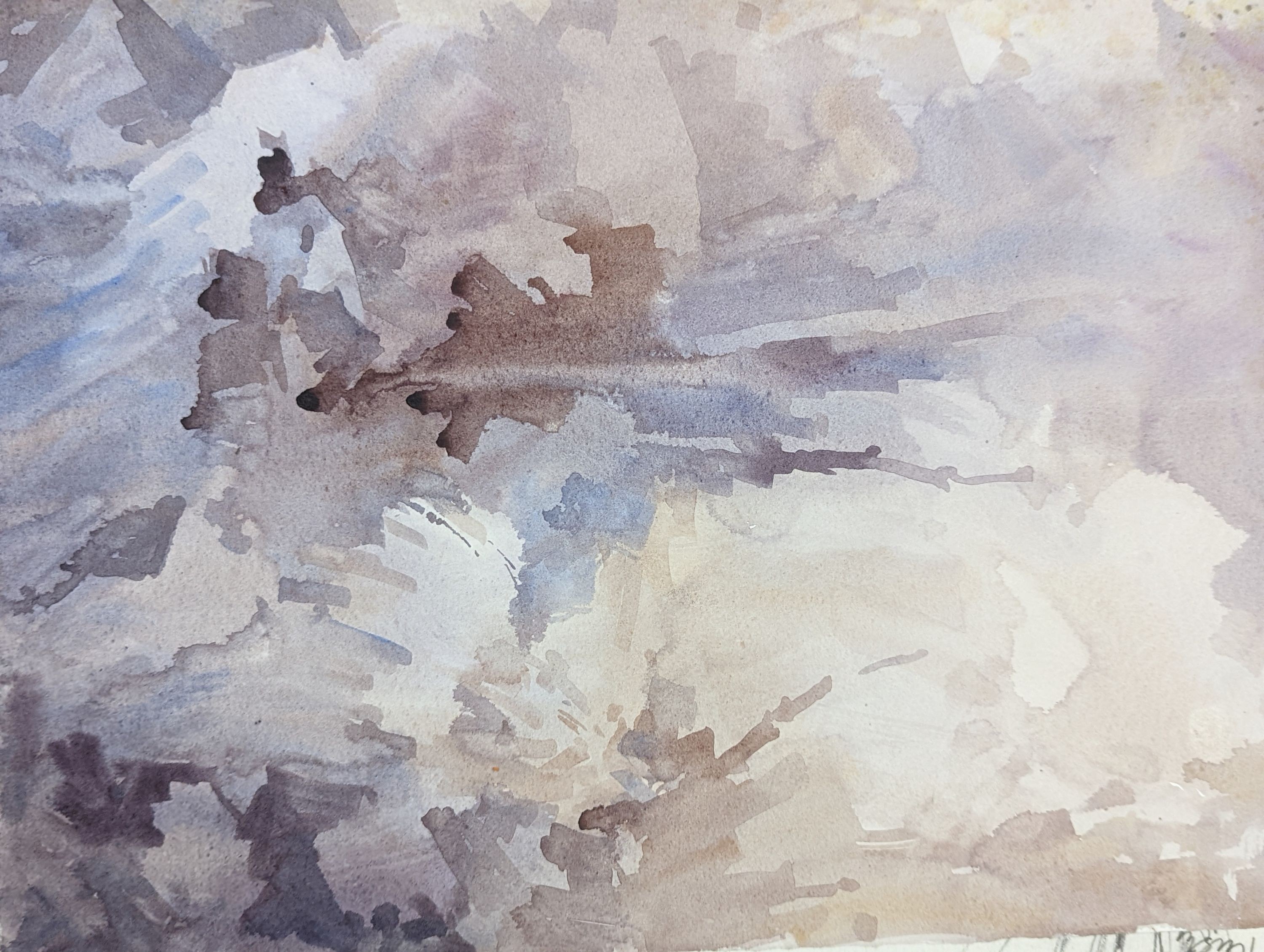 Michael Cadman (1920-2012), folio of assorted watercolours, Nature and botanical studies, largest 54 x 39cm